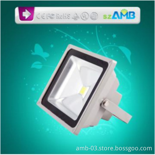 50W LED Flood Light with IP65, Tunnel Light, CE SAA RoHS Approval